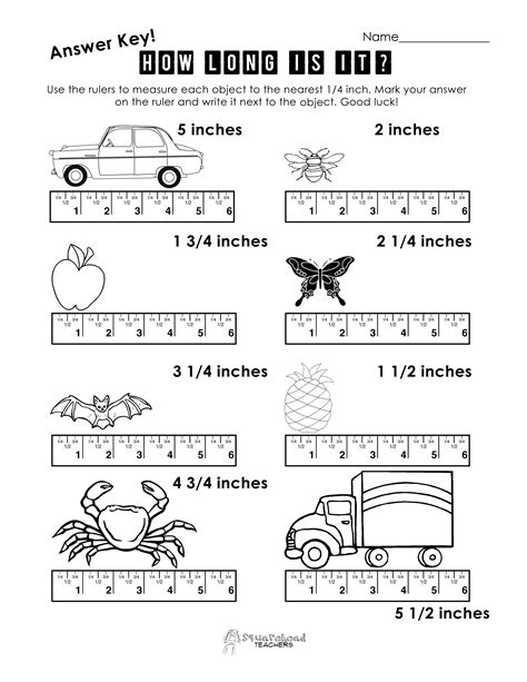 Measuring By Inches Worksheet