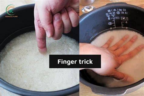 Measuring Rice and Water Using Your Finger