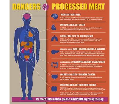 Meat-Based diet health risk