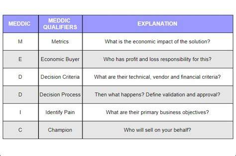 Meddic Account Plan Template