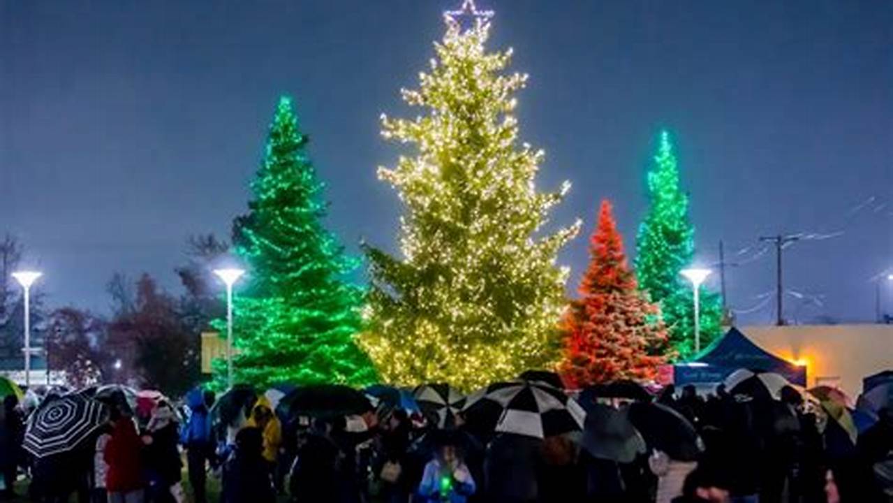 Medford Tree Lighting 2024