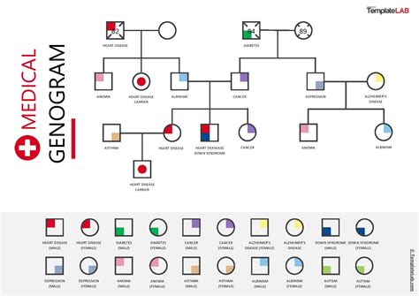 Medical Genogram Template Free
