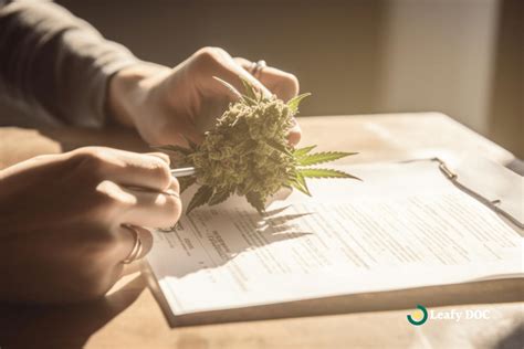 Medical Marijuana Card Application Process
