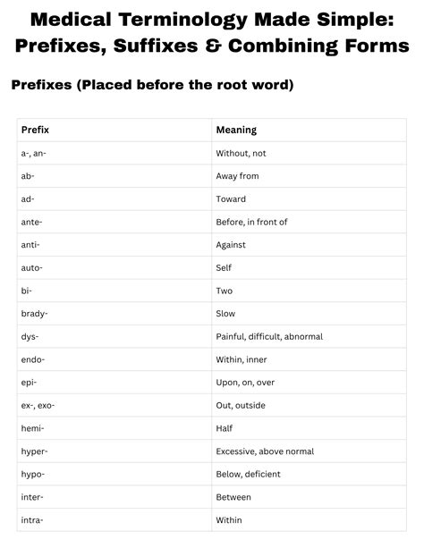 Medical Terminology Prefixes And Suffixes Worksheet | Printable