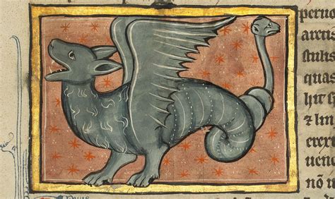 Medieval Dragon Illustrations