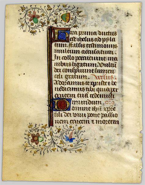 Illuminated manuscripts featuring dragons