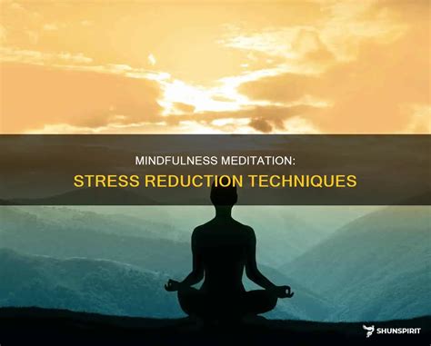 Meditation and Stress Reduction