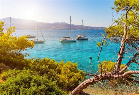 Mediterranean
