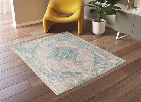 Medium Rug in a Living Room