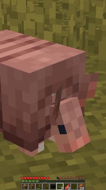 Meet the Armadillo Mob in the Game