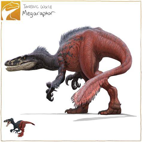 Challenges in Megaraptor Studies