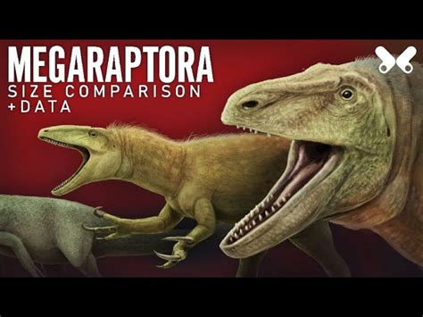 Comparison with Other Theropods