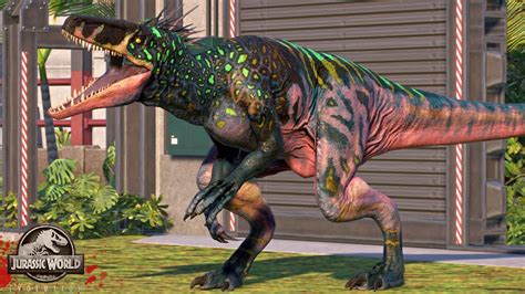 Evolutionary Insights
