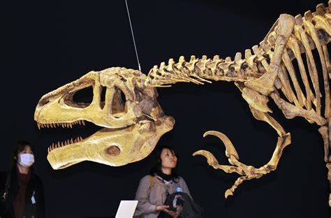 Discovery of Megaraptor Fossils