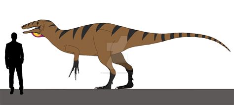 Size Estimates for the Megaraptor