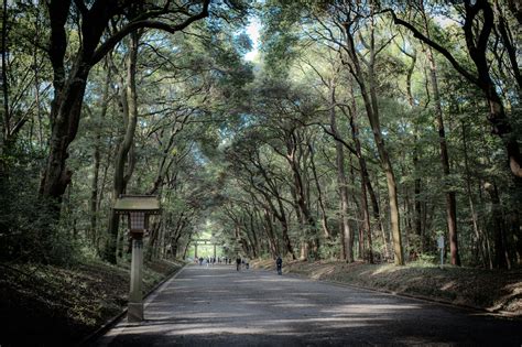 Meiji Shrine Path