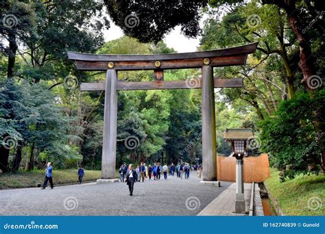 Meiji Shrine Torii Gate