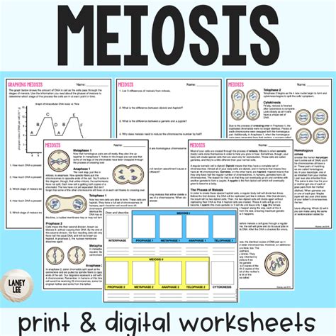 Meiosis Reading