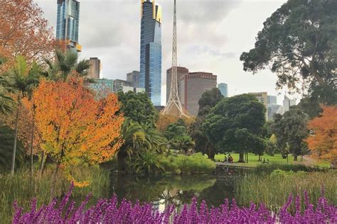 Melbourne private tour guide
