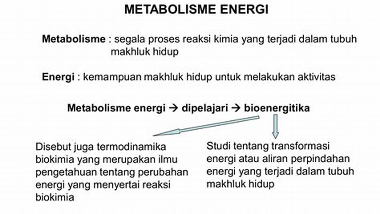 Memainkan Peran Dalam Metabolisme Energi, Manfaat
