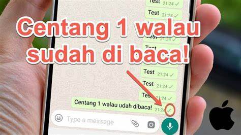 PARAPUAN: A Must-Have WhatsApp Reading Application for Indonesians