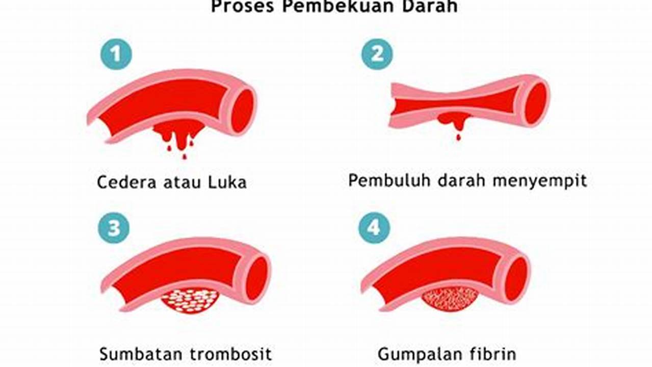 Membantu Pembekuan Darah, Manfaat