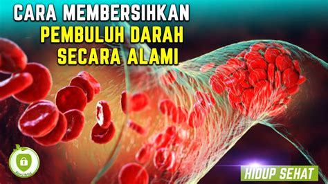 Membersihkan Darah