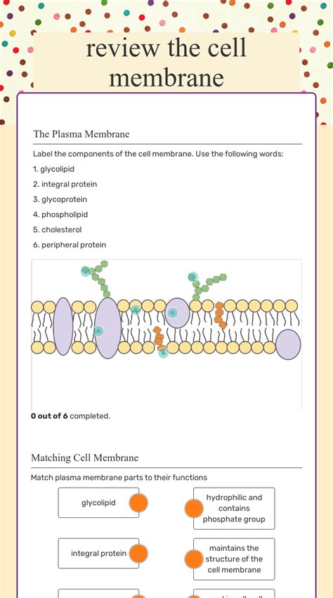 Membrane Structure And Function Worksheet