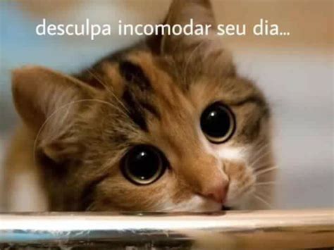 Meme Pra Crush