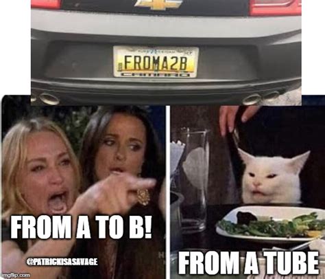 Meme With Girl Yelling At Cat License Plate