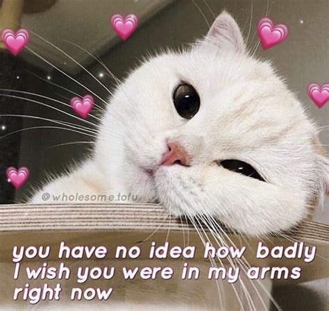 Memes For Him Cute
