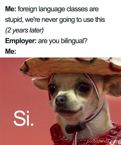 Memes In Spanish Funny