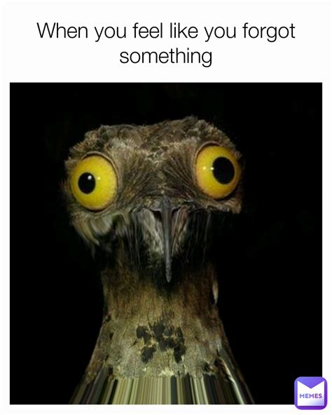Memes You Forgot About