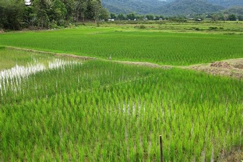 Memorable Adventure Tour