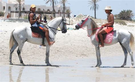 Memorable Djerba Experience