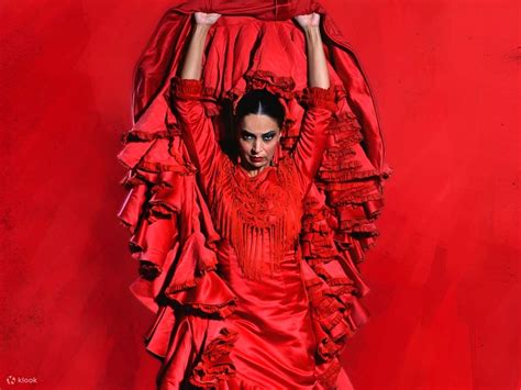 Memorable Flamenco Experience