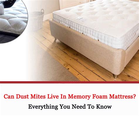 Memory Foam Mattress Dust Mites