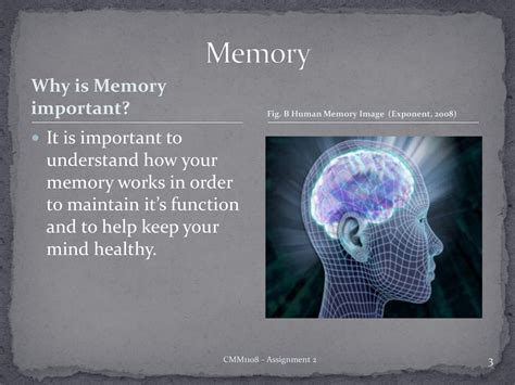 Memory Is Important