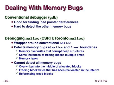 Memory bugs