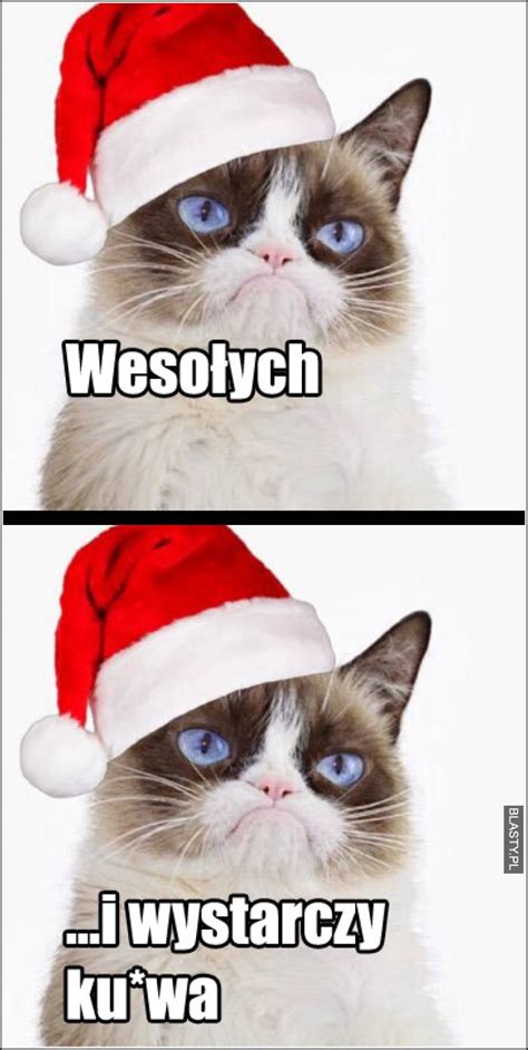 Memy O Grumpy Cat