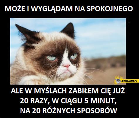 Memy Z Grumpy Cat