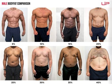 Men Body Fat Percentage