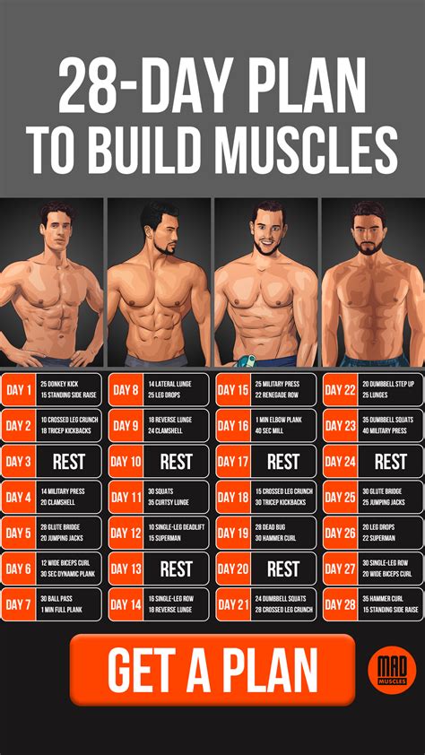 Men Muscle