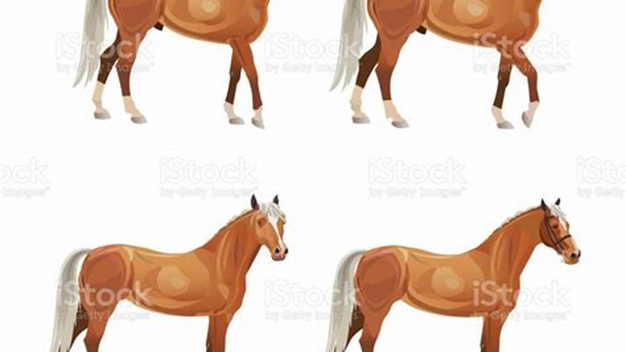 Menampilkan Kuda Poni Dalam Berbagai Pose, Resep6-10k
