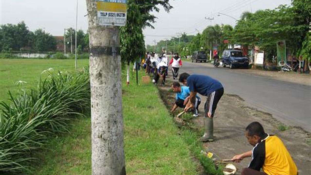 Menciptakan Lingkungan Yang Lebih Lembab, Tanaman