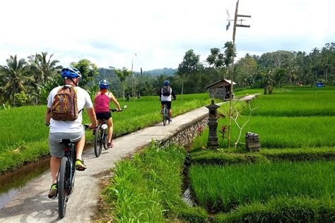 Bersepeda di Desa Ubud Bali dengan Pemandangan Persawahan Outing di Bali