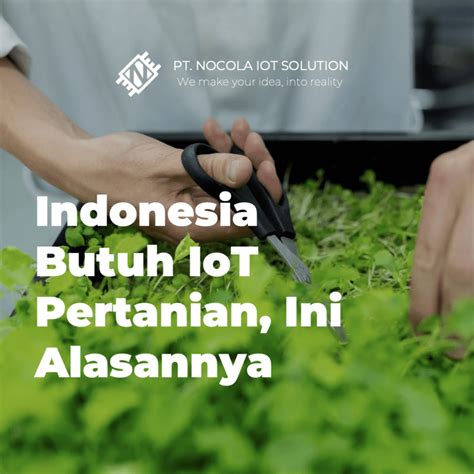 Mengapa Indonesia Memiliki Tumbuhan Dan Hewan Yang Beraneka Ragam