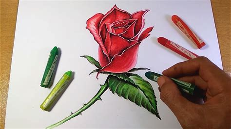 Menggambar Bunga Mawar 3d