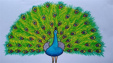 Menggambar Burung Merak