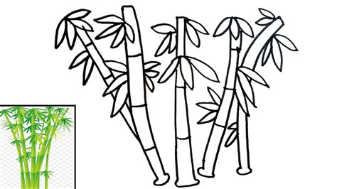 Menggambar Pohon Bambu